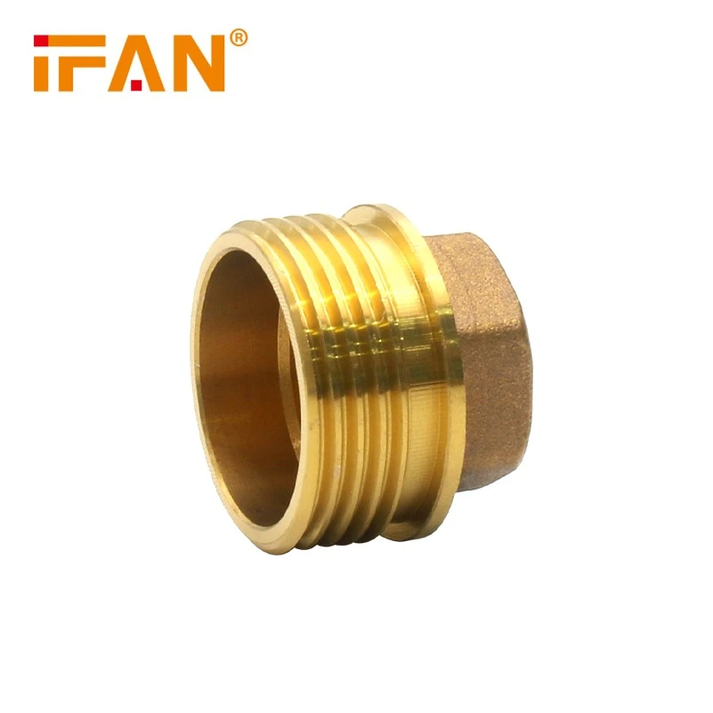 Brass Plug Brass Plug