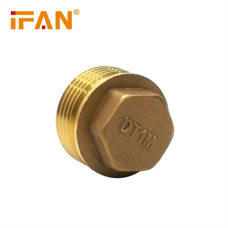 Brass Plug Fittings