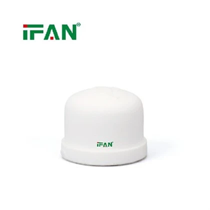 IFANPlus Hvit PPR endelokk